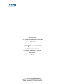 Финансовый отчет по РСБУ компании «Северсталь»