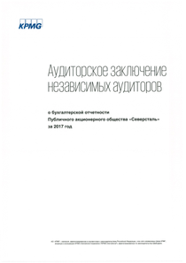 Финансовый отчет по РСБУ компании «Северсталь»