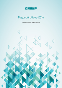 Годовой отчет компании «СИБУР Холдинг (ПАО)»
