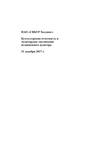 Финансовый отчет по РСБУ компании «СИБУР Холдинг (ПАО)»