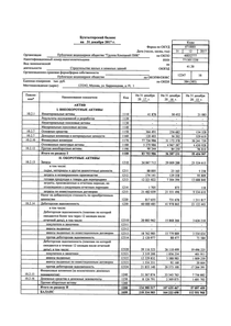 Финансовый отчет по РСБУ компании «Группа Компаний ПИК»