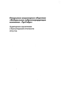 Финансовый отчет по РСБУ компании «РусГидро, группа»