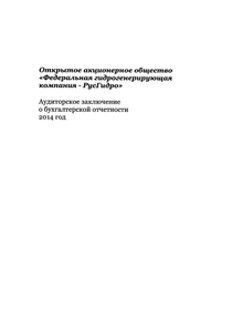 Финансовый отчет по РСБУ компании «РусГидро, группа»