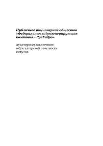 Финансовый отчет по РСБУ компании «РусГидро, группа»