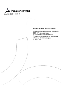 Финансовый отчет по РСБУ компании «Вымпел-Коммуникации»