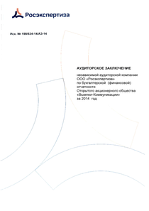 Финансовый отчет по РСБУ компании «Вымпел-Коммуникации»