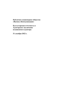 Финансовый отчет по РСБУ компании «Вымпел-Коммуникации»