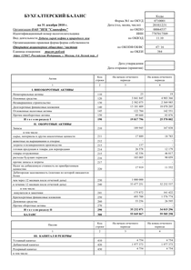 Финансовый отчет по РСБУ компании «Славнефть, группа»