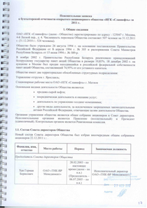 Финансовый отчет по РСБУ компании «Славнефть, группа»