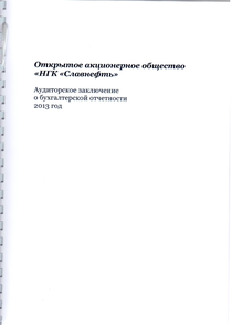 Финансовый отчет по РСБУ компании «Славнефть, группа»