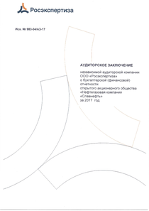 Финансовый отчет по РСБУ компании «Славнефть, группа»