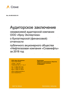 Финансовый отчет по РСБУ компании «Славнефть, группа»