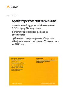 Финансовый отчет по РСБУ компании «Славнефть, группа»