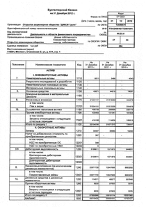 Финансовый отчет по РСБУ компании «ДИКСИ Юг»