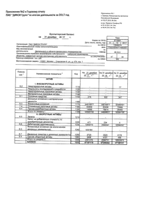 Финансовый отчет по РСБУ компании «ДИКСИ Юг»