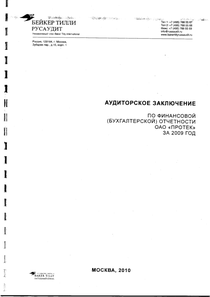 Финансовый отчет по РСБУ компании «ПРОТЕК, группа компаний»