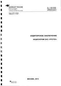 Финансовый отчет по РСБУ компании «ПРОТЕК, группа компаний»