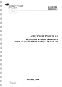 Финансовый отчет по РСБУ компании «ПРОТЕК, группа компаний»