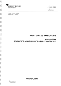 Финансовый отчет по РСБУ компании «ПРОТЕК, группа компаний»