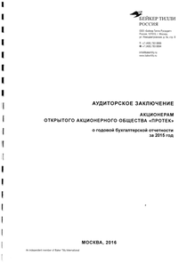 Финансовый отчет по РСБУ компании «ПРОТЕК, группа компаний»