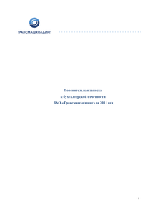 Финансовый отчет по РСБУ компании «Трансмашхолдинг»