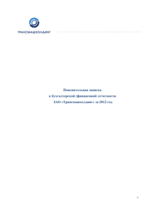 Финансовый отчет по РСБУ компании «Трансмашхолдинг»