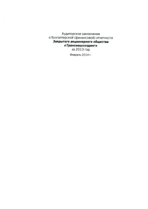 Финансовый отчет по РСБУ компании «Трансмашхолдинг»