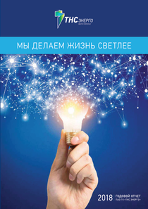 Годовой отчет компании «ТНС ЭНЕРГО, группа компаний»