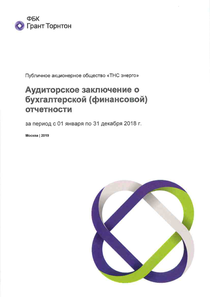 Финансовый отчет по РСБУ компании «ТНС ЭНЕРГО, группа компаний»