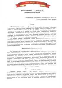 Финансовый отчет по РСБУ компании «ТНС ЭНЕРГО, группа компаний»