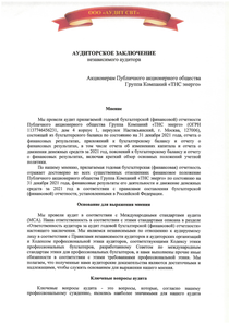 Финансовый отчет по РСБУ компании «ТНС ЭНЕРГО, группа компаний»