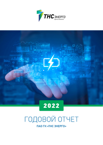 Годовой отчет компании «ТНС ЭНЕРГО, группа компаний»