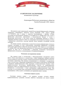 Финансовый отчет по РСБУ компании «ТНС ЭНЕРГО, группа компаний»