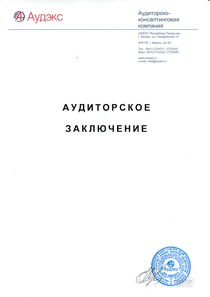 Финансовый отчет по РСБУ компании «КАМАЗ»