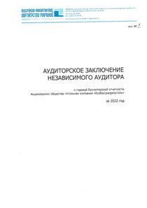 Финансовый отчет по РСБУ компании «Кузбассразрезуголь, угольная компания»