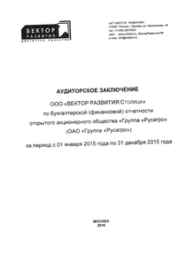 Финансовый отчет по РСБУ компании «Русагро, группа компаний»