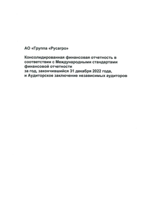 Финансовый отчет по МСФО компании «Русагро, группа компаний»