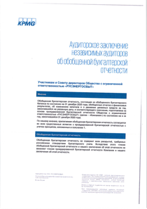 Финансовый отчет по РСБУ компании «Русэнергосбыт»