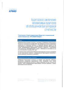 Финансовый отчет по РСБУ компании «Русэнергосбыт»