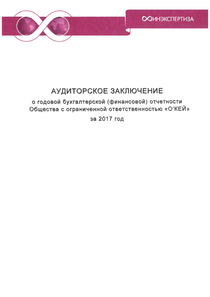 Финансовый отчет по РСБУ компании «О'КЕЙ»