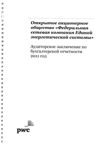 Финансовый отчет по РСБУ компании «Россети Московский регион»