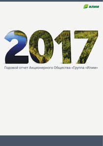 Годовой отчет компании «Илим, группа»