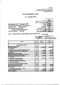 Финансовый отчет по РСБУ компании «Томскнефть, ВНК»