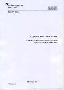 Финансовый отчет по РСБУ компании «Группа Черкизово»