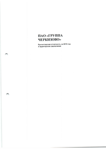 Финансовый отчет по РСБУ компании «Группа Черкизово»