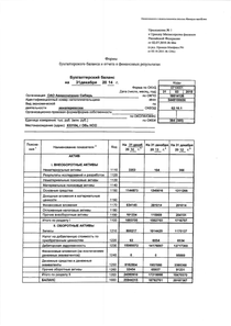 Финансовый отчет по РСБУ компании «Сибирь, авиакомпания»