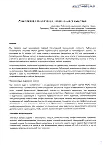 Финансовый отчет по РСБУ компании «Промышленно-металлургический холдинг (ПМХ)»