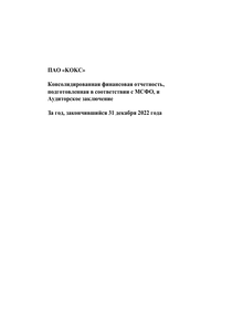 Финансовый отчет по МСФО компании «Промышленно-металлургический холдинг (ПМХ)»