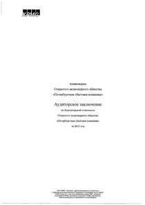 Финансовый отчет по РСБУ компании «Петербургская сбытовая компания»