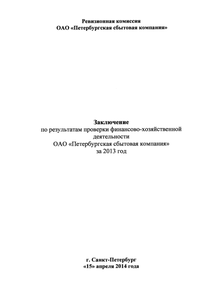 Финансовый отчет по РСБУ компании «Петербургская сбытовая компания»